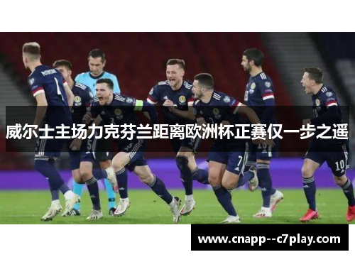 威尔士主场力克芬兰距离欧洲杯正赛仅一步之遥 威尔士主场力克芬兰距离欧洲杯正赛仅一步之遥